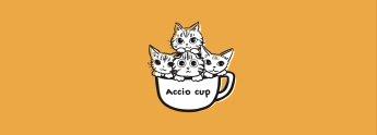 Accio cup | 50% off special 